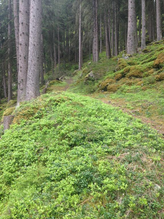 Apart Christa Kaunertal Esterno foto